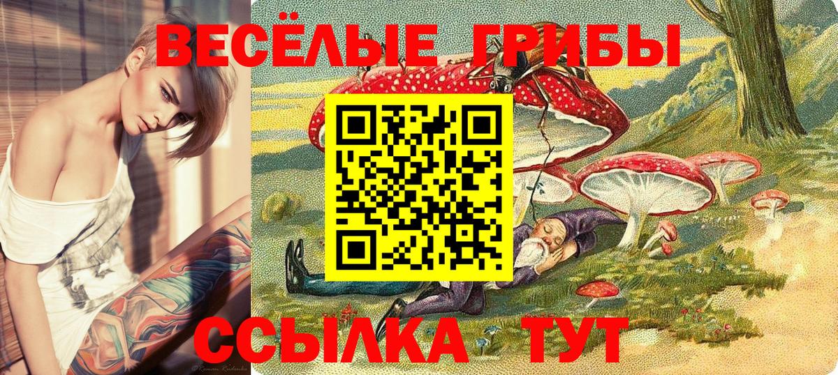 Псилоцибиновые грибы мухоморы Кольчугино