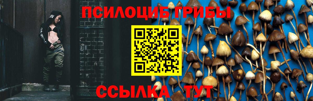 Галлюциногенные грибы прущие грибы  Вход с VPN  Кольчугино 