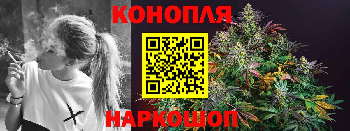 Бошки Шишки VHQ Кольчугино